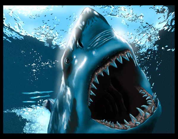 ataques tiburón, tiburon Florida, Australia, Sudáfrica