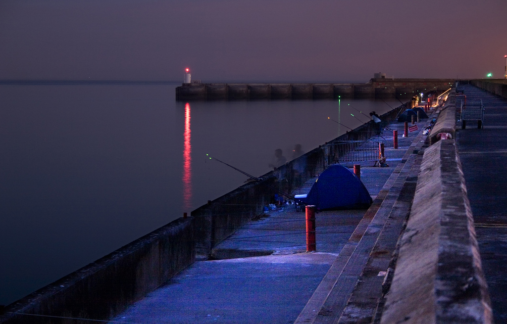 pesca de noche, mejores horas para pescar de noche, material para pescar de noche en el mar, cebos pesca de noche