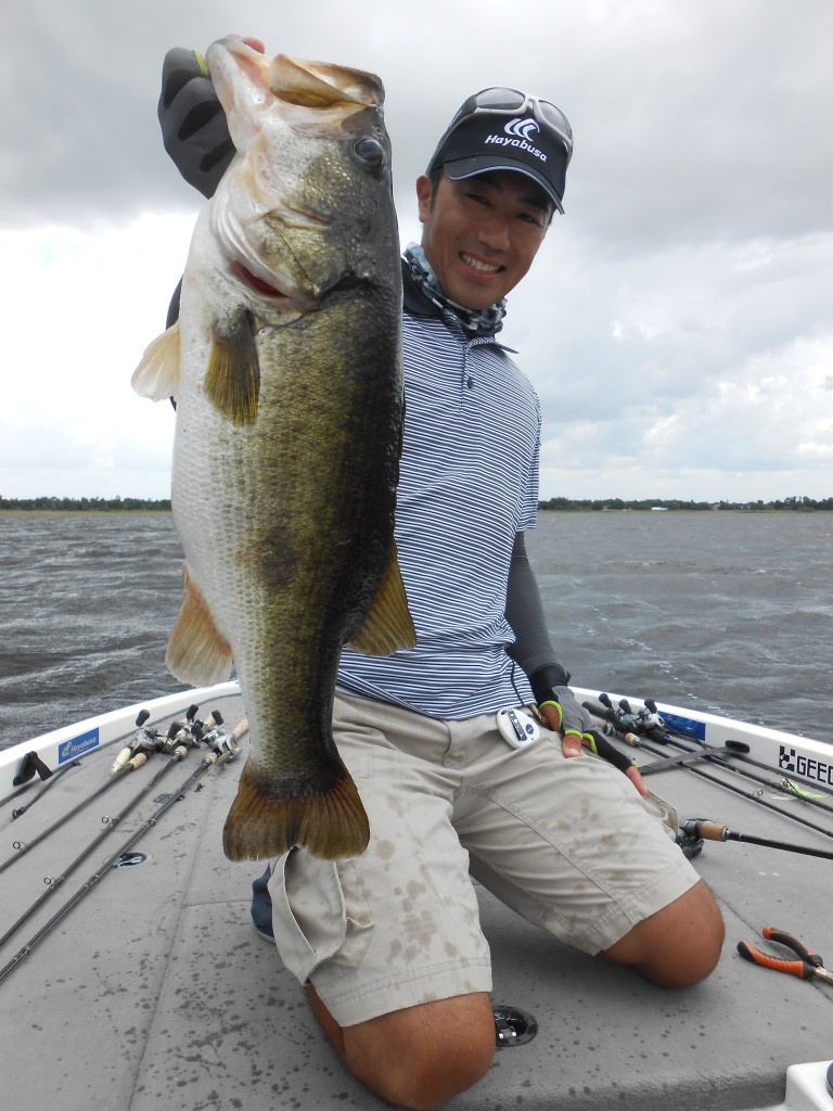 bass Florida Fish and Wildlife
