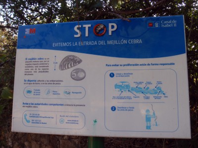 Cartel en España con información sobre  el mejillón cebra.