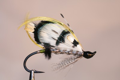 Spanish salmon fly.