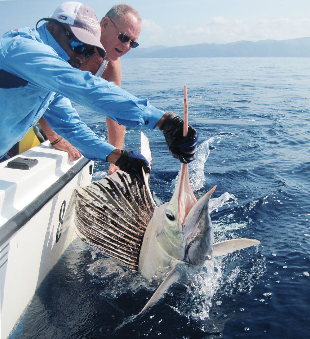 fotos pesca, Florida Sports Fishing Magazine, pesca, imágenes espectaculares, marlin blanco, marlin albino, cosas chulas de pesca