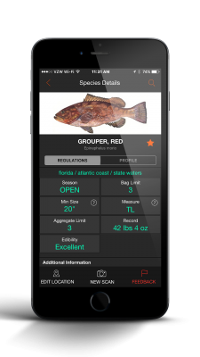 FishVerify, app pesca, reconocer peces con foto, aplicación para teléfono, identificar especies 