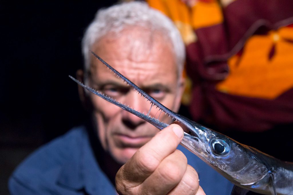 Jeremy Wade, influencer pesca, cosas chulas de pesca, Monstruos de Río