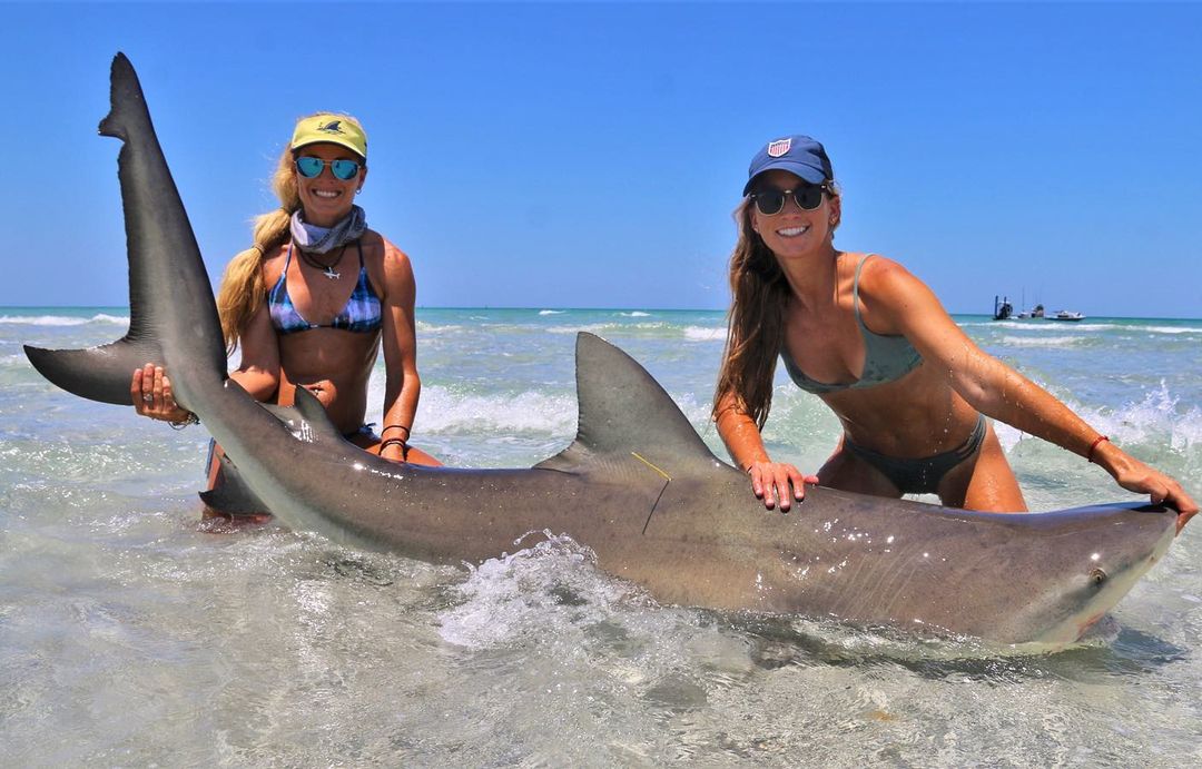 tiburón toro, Florida, mujer pescadora, Instagram, Darcizzle Offshore