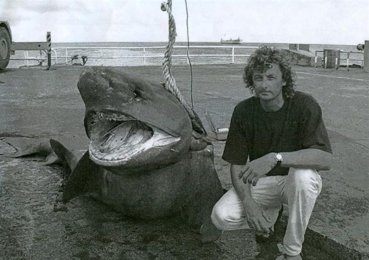 Tiburón de seis branquias – 588 kg