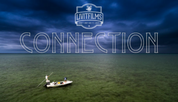 video pesca a modca, Livitfilms, Connection