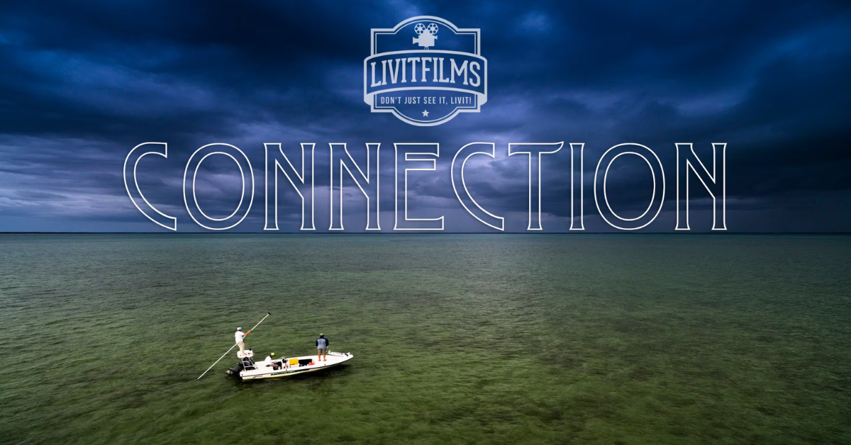 video pesca a modca, Livitfilms, Connection