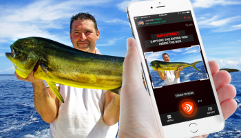 FishVerify, app pesca, reconocer peces con foto, aplicación para teléfono, identificar especies