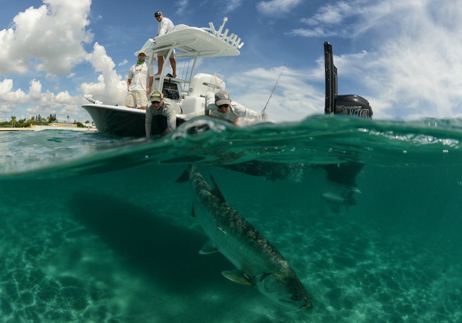 Jason Arnold, fotógrafo de pesca, fotos de pesca, Florida, revista de pesca, subacuática, submarina, vídeos de pesca