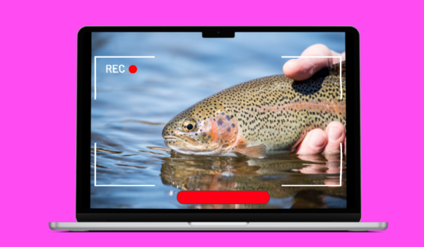 Herramientas gratuitas y de pago para añadir subtítulos a videos de pesca